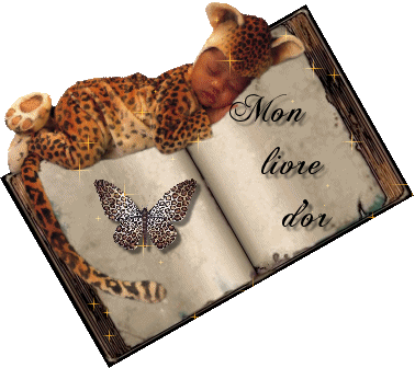 livre d'or