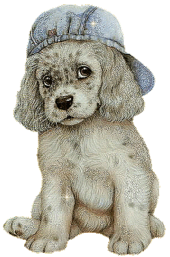 chien