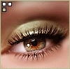regard