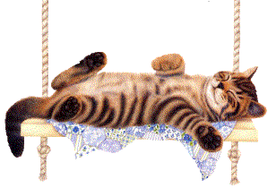 chat