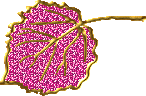 glitters