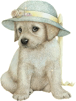 chien