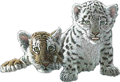 tigres