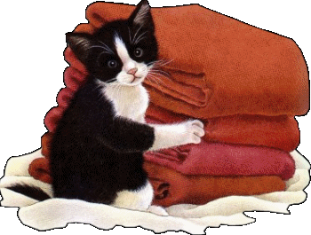 chat