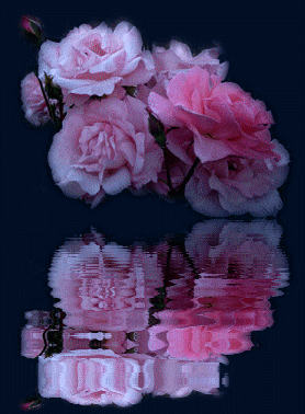 reflet