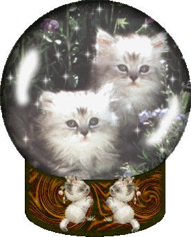 chat