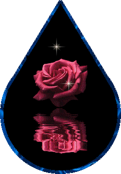 goutte