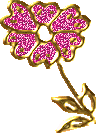 glitters