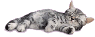 chat
