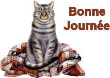 bonne journée