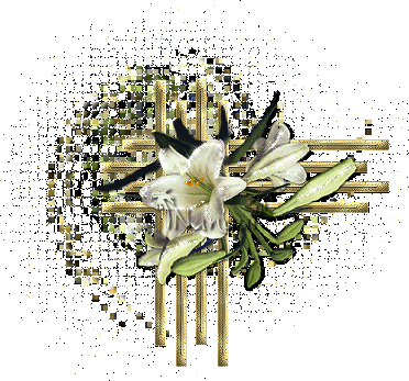fleurs