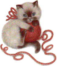 chat