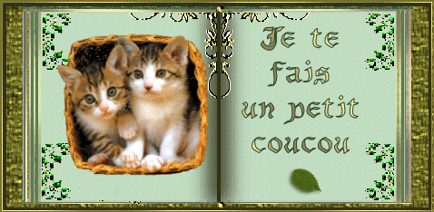 chats