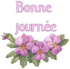 bonne journée