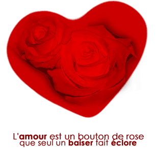 amour